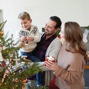 Hallmark Keepsake 2019 Year Dated Baby My First Christmas Jack-in-The-Box Bear Ornament - Family Christmas Tree Ornament
