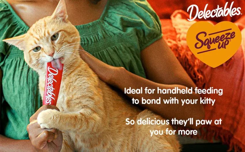 Hartz Delectables Stew Lickable Wet Cat Treats, Multiple Flavors Variety Pack 12 Count (Pack of 1) - squeeze up cross sell