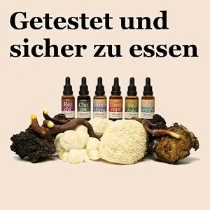 Ollywell Lion's Mane Natural Drops - Brain Booster - 30ml - Concentration - Nervous System Support - Memory - Extrait de manne d