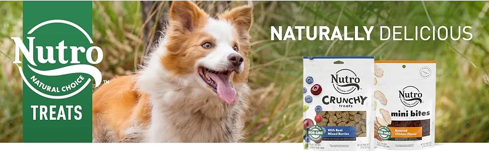 Nutro Crunchy Natural Biscuit Dog Treats Chicken 1 Pound (Pack of 1) - bheader