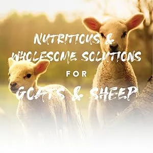 Manna Pro Chick Supplies Treat | Chick Brooder Chick Stick | Chicken Coop Accessories | Chick Starter Kit | 15 oz - manna pro goats and sheep lifestyle image