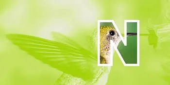 Nekton-S Multi-Vitamin for Birds 1.24 Ounce (Pack of 1) - Nekton