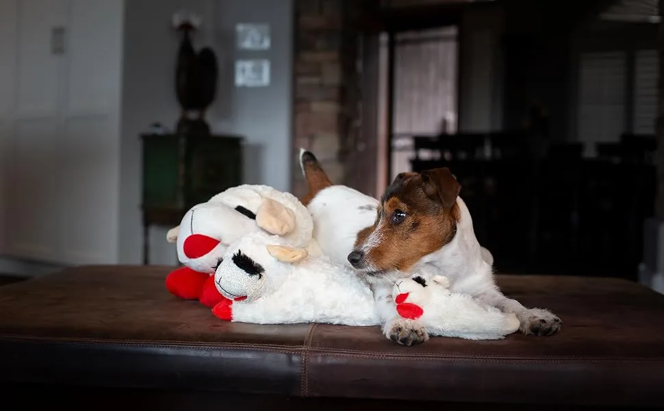 Multipet Lambchop Plush Dog Toy with Squeaker - lambchop and jack