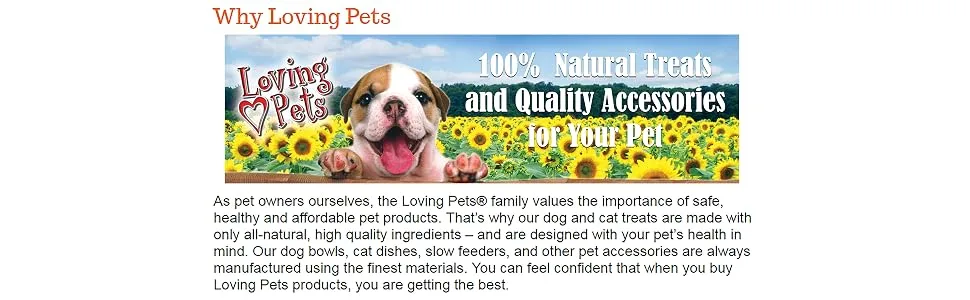 Loving Pets Bella Spill -Proof Fish-Shaped Mat for Cats Aqua - product information 1