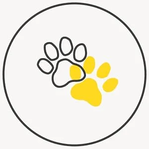 Precious Cat Elsey's Ultra Scented Cat Litter,18 Lb/8.16 Kg (Pack May Vary) Clay - LOW DUST