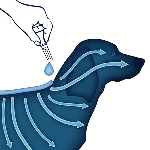 Hartz UltraGuard Dual Action Flea & Tick Topical Dog Treatment and Flea and Tick Prevention, 6 Months, 60+ Pound Dogs - how do topicals work