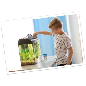 API TAP Water Conditioner, Instantly neutralizes Chlorine, chloramines and Other Chemicals to Make tap Water Safe for Fish, Highly Concentrated, Use When Adding or Changing Water and When Adding Fish 16 oz - boy feeding fish