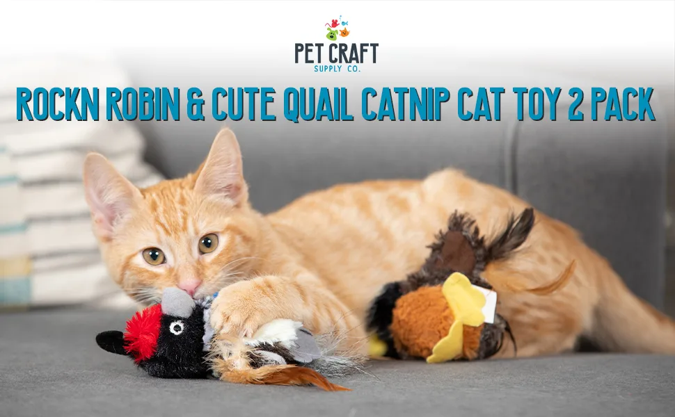 Pet Craft Supply Cat Toys 2 Pack Multi - Pet Craft Supply Robin and Quail Catnip Soft Plush Feather Boredom Relief Interactive Cat Toy