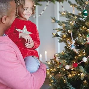 Hallmark Keepsake Christmas Ornament, Year Dated 2021, Born to Stand Out Baby's 1st Christmas Zebra - Hallmark Keepsake ornaments family traditions trimming the tree