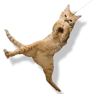 Go Cat Teaser Cat Catcher Wand Cat Toy Assorted - product information 2