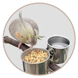 5pack Bird Bowls for Cage,Stainless Steel Bird Bowls Include Bird Food Bowl, Bird Water Bowl,Bird Cup with Clamp, Dispenser Spoon, Bird Dishes for Parakeet Cockatiels Budgie Conures Lovebird Macaw - clamp cup