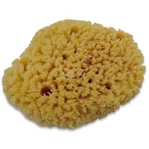 Constantia Pets Hermit Crab Real Sea Sponges - 5 Pack Unbleached, Provides Nutrients, Safer Drinking and Helps Maintain Habitat Tank Humidity - Constantia Pets Hermit Crab Unbleached Natural Sea Sponges
