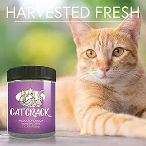 Cat Crack Catnip, Premium Blend Safe for Cats, Infused with Maximum Potency Your Kitty is Sure to Go Crazy for 1 Cup - Harvested Fresh