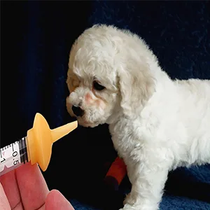 Xuanda Mini Pet Feeding Bottle and Syringes with Nipples for Small Cat Dog Animals (Model 4) - product information 4