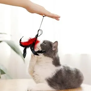 M JJYPET Retractable Cat Toys Wand ,12 Packs Interactive Cat Feather Toys,9 Assorted Teaser Refills with Bell for Cat,Kitten - product information 6