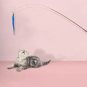 M JJYPET Retractable Cat Toys Wand ,12 Packs Interactive Cat Feather Toys,9 Assorted Teaser Refills with Bell for Cat,Kitten - product information 7