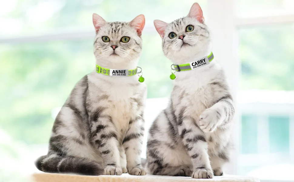 TagME 2 Pack Personalized Reflective Cat Collars Breakaway with Bell, Adjustable Pet Collars for Boy & Girl Cats Kitten Standard 7-12" Green - green cat collar