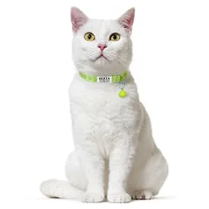 TagME 2 Pack Personalized Reflective Cat Collars Breakaway with Bell, Adjustable Pet Collars for Boy & Girl Cats Kitten Standard 7-12" Green - green cat collars