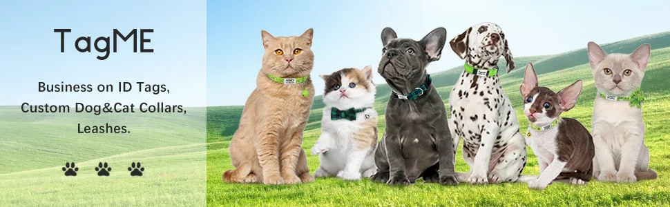 TagME 2 Pack Personalized Reflective Cat Collars Breakaway with Bell, Adjustable Pet Collars for Boy & Girl Cats Kitten Standard 7-12" Green - Personalized Cat Collar