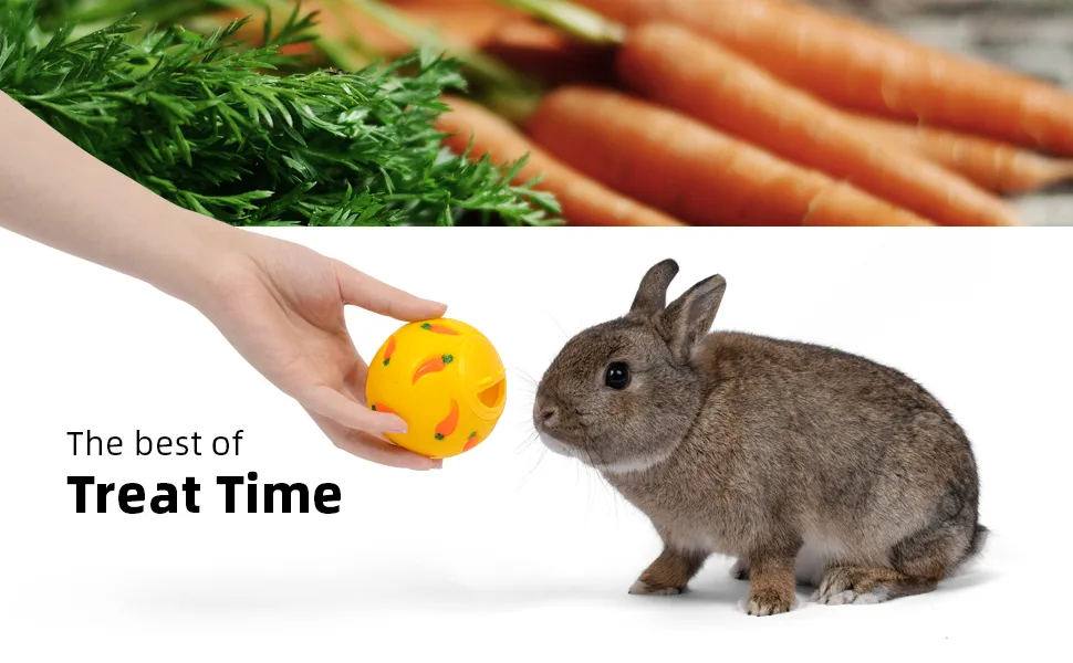 Niteangel Treat Ball, Snack Ball for Small Animals Small Yellow, Blue & Green - product information 1