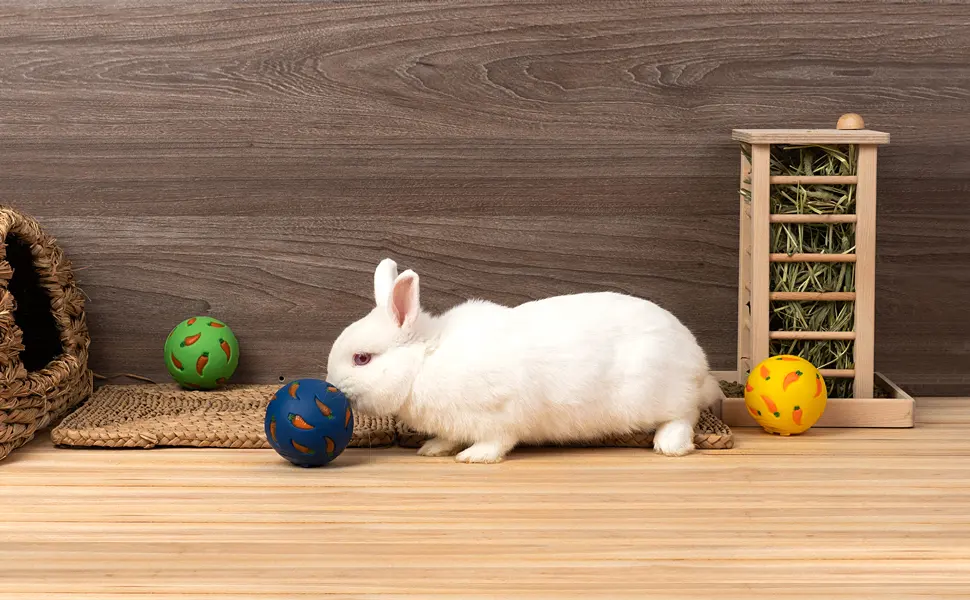Niteangel Treat Ball, Snack Ball for Small Animals Small Yellow, Blue & Green - product information 4