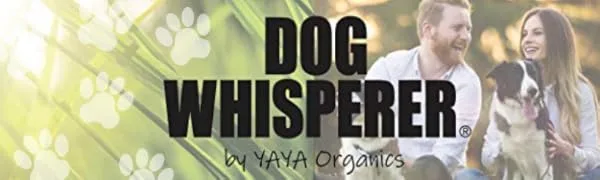 Dog Whisperer Tick + Flea Repellent, All-Natural, Extra Strength, Effective on Dogs and Their People 4 oz - product information 1