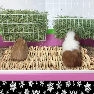 3 Pack Grass Mat for Rabbits Bunny, Woven Hay Mat for Small Animals, Natural Straw Bedding Resting Cage Mat for Guinea Pig Parrot Chinchilla Hamster Rat - rabbit grass mat