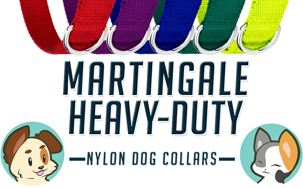 Country Brook Petz - Martingale Heavyduty Nylon Dog Collar Medium (Pack of 1) Hot Pink - colors red blue solid basic waterproof sturdy thick wide 2 ply