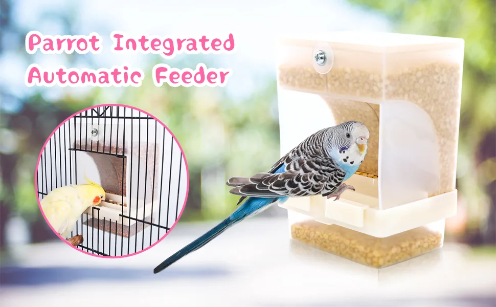 Rypet No Mess Bird Feeder, Integrated Parrot Automatic Feeder for Small to Medium Birds Seed Food Container Translucent - product information 1