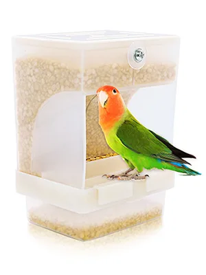 Rypet No Mess Bird Feeder, Integrated Parrot Automatic Feeder for Small to Medium Birds Seed Food Container Translucent - product information 2