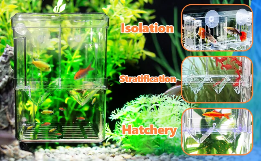 Fortune-star Fish Breeding Box Aquarium Fish Tank Hatchery Incubator Breeder Box Fish Breeding Tanks Acrylic White Breeder Isolation Divider Hatching Boxes with Suction Cups Medium - fish tank hatchery