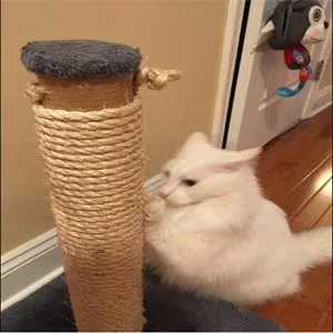 Yangbaga Cat Scratching Post Replacement, Sisal Rope for Cats, 1/4 inch Diameter, Natural Fiber Dye Free 66FT - sisal rope for cats