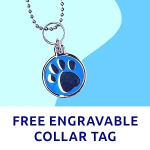 Pat Your Pet Deshedding Brush - Double-Sided Undercoat Rake for Dogs & Cats - Shedding Comb and Dematting Tool for Grooming Blue - Free engravable collar tag