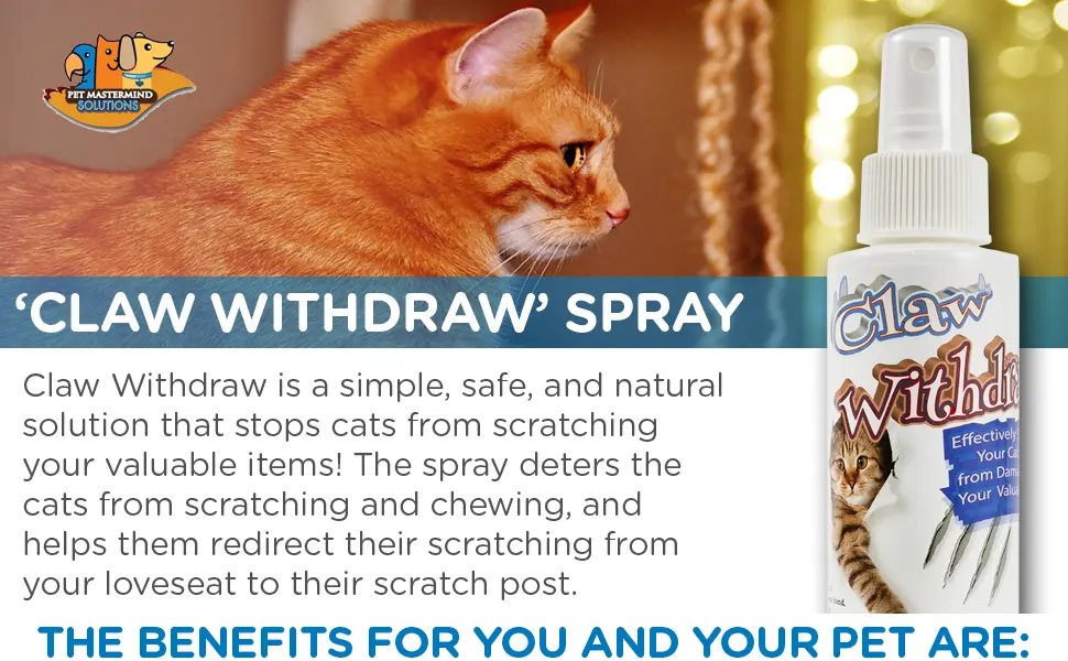 Pet MasterMind Claw Withdraw Cat Scratch Training Spray, Indoor Anti-Scratch Repellent - 4oz - claw withdraw cat scratch deterrent spray