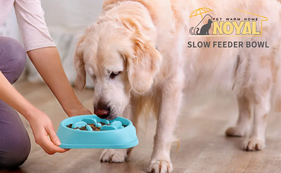 NOYAL Slow Feeder Dog Bowls Puzzle Anti-Gulping Interactive Bloat Durable Preventing Choking Healthy Dogs Bowl Blue - product information 16
