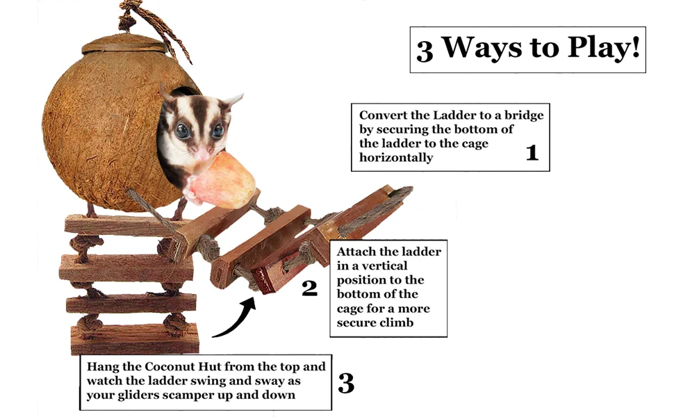 SunGrow Coconut Bird House with Ladder with Hole Opening, Mini Condo for Avians with Hanging Loop - product information 2