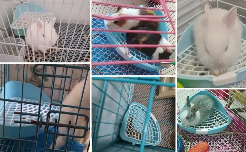 Hamiledyi Bunny Litter Pet Toilet Potty Trainer Corner Pan Bedding Box for Small Animal Guinea Pig Ferret Hamster Dwarf Rabbit(White) Blue - product information 9