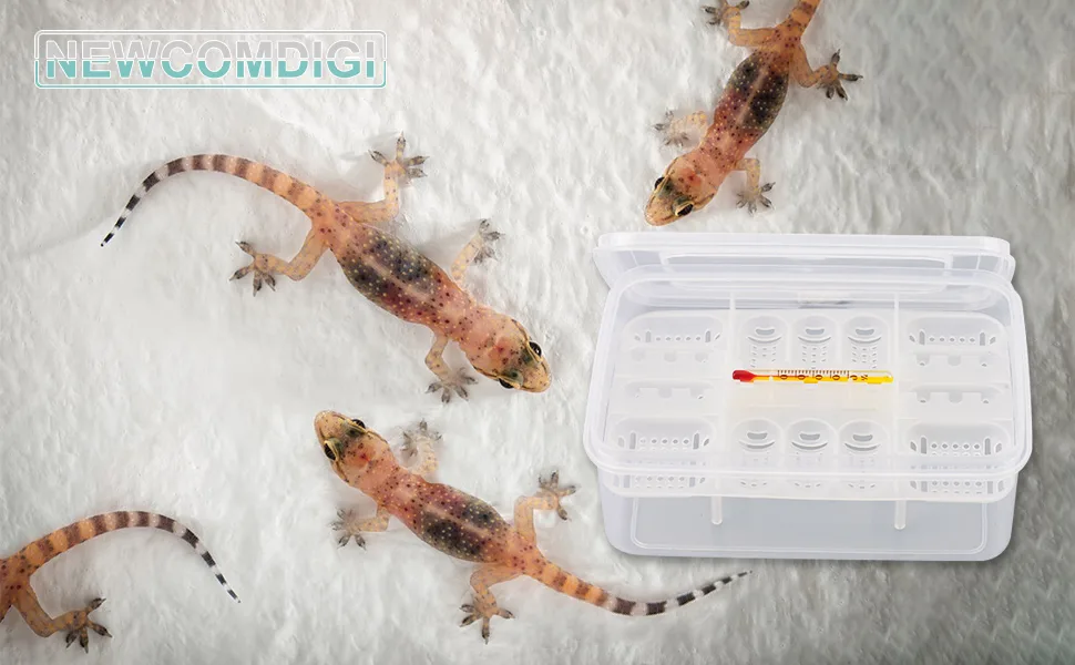 NEWCOMDIGI 16 Grids Reptiles Eggs Incubator Tray, Amphibians Hatchery Box with Thermometer, Reptile Breeding Box, Incubation Box for Hatching Snake, Lizards, Turtle, Gecko Egg - Reptiles Eggs Incubator Tray