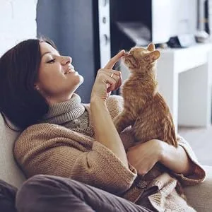 Pets4Luv Calming Collar for Cats - Pheromone Calm Collars, Anxiety Relief Fits Small Medium and Large Cat - New Version - Adjustable and Waterproof with 100% Natural 2 - cat calming collar