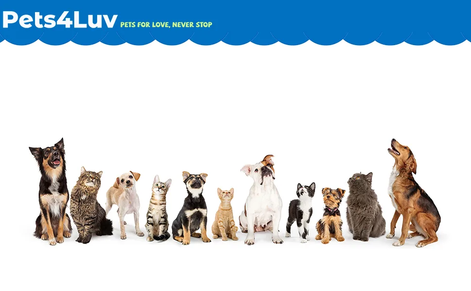 Pets4Luv Calming Collar for Cats - Pheromone Calm Collars, Anxiety Relief Fits Small Medium and Large Cat - New Version - Adjustable and Waterproof with 100% Natural 2 - pets4luv calming collar