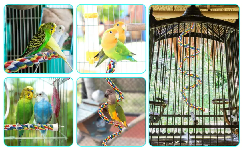 Bird Rope Perch for Parrots, Cockatiels, Parakeets, Budgie Cages Comfy Birds Colorful Rope Perches Toy 41inch metal nut - Bendable bird rope