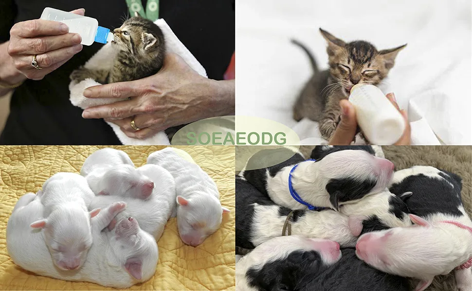 Pet Bottle Kit, Squeeze Liquid Bottle Replaceable Silicone Teat Mini Teat for Newborn Kittens, Puppies, Rabbits, Small Animals Replacement Teat Cat Feeding Bottle Feeding Tool - pet bottle