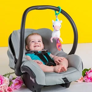 Bright Starts Unicorn Sparkle & Shine Plush Take-Along Stroller or Carrier Toy, Ages 0 Month+ , Pink, 1 Count (Pack of 1) - product information 2