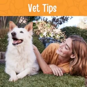 Full Moon Organic Human Grade Training Treats for Dogs Chicken Training Treats 6 Ounce (Pack of 1) - vet tips