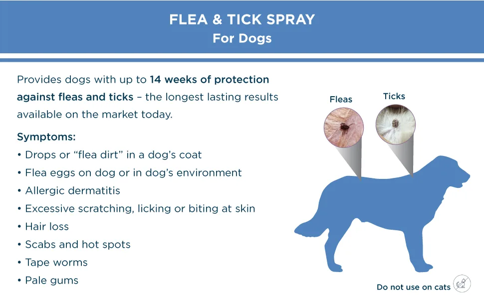 Veterinary Formula Flea and Tick Spray for Dogs, 8 oz  Easy-to-Use Dog Flea Spray, Kills on Contact, Prevents Egg & Larval Development for 14 Weeks - flea and tick spray for dogs