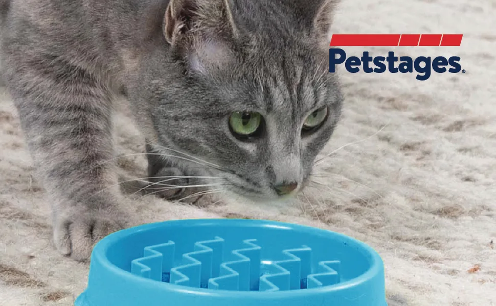 Petstages Kitty Slow Feeder Cat Bowl, Blue - cat exploring slow feeder maze
