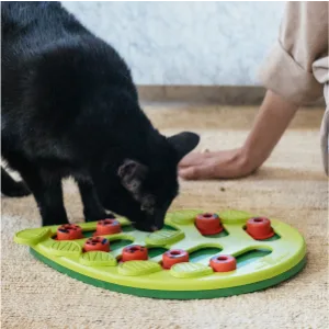 Petstages Kitty Slow Feeder Cat Bowl, Blue - cat on carpet playing with interactive treat puzzle