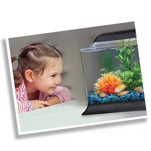 API ALGAE SCRAPER For Acrylic Aquariums 1-Count Container - api brand story aquarium fish