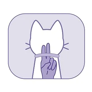 Hartz UltraGuard Purple Flea & Tick Collar for Cats and Kittens - 7 Month Protection - step 2