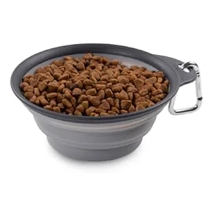 Dexas Popware for Pets Collapsible Travel Cup, Small, Gray/Pink - pet cups, pet bowls, pet dish, water dish, dog park, travel with dog, collapsible bowl